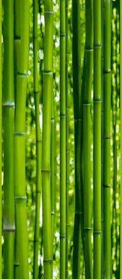 A.S. Creation Pop Up Panel 35x250cm Selbstklebend Wellness Bambus