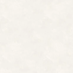 Dieter Langer Tapete Vlies Putz-Optik Creme-weiß 58822