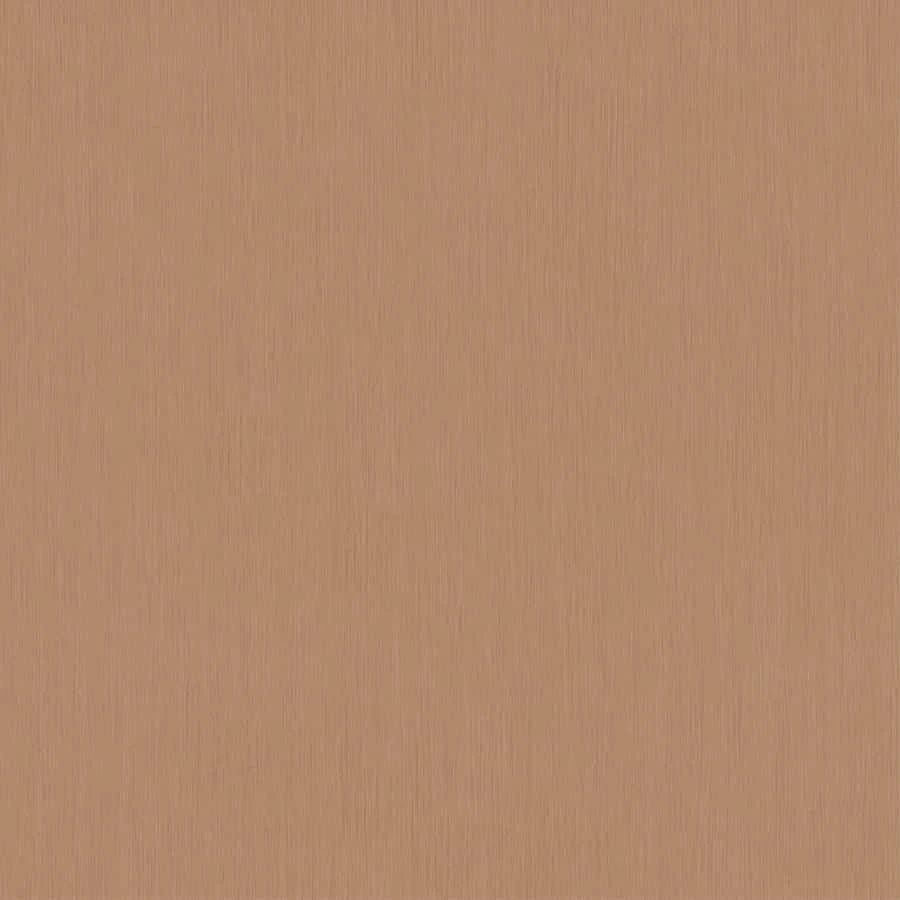 Dieter Langer Tapete Vlies Strié Struktur Beige-braun 58815 1 Dieter Langer Tapete Vlies Strié Struktur Beige-braun 58815