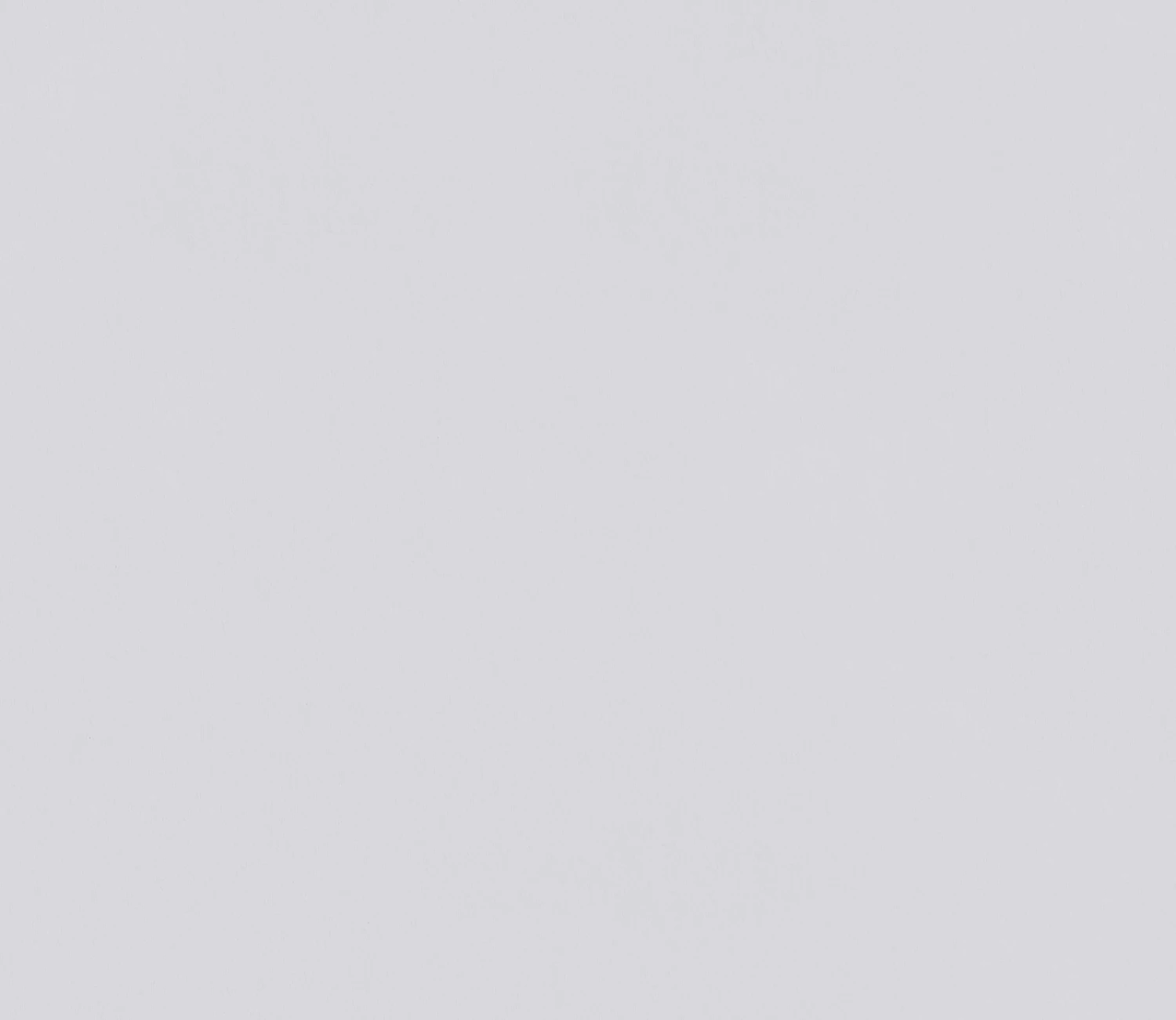 Erfurt Tapete Glattvlies Plano Superweiss 150 G 10,6 M² 2 Erfurt Tapete Glattvlies Plano Superweiss 150 G 10,6 M² – Bild 2