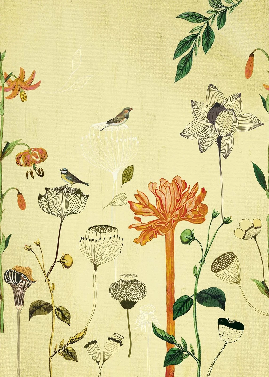 Fototapete Natur Vogel Gelb Orange Onszelf 532036 2 Fototapete Natur Vogel Gelb Orange Onszelf 532036 – Bild 2