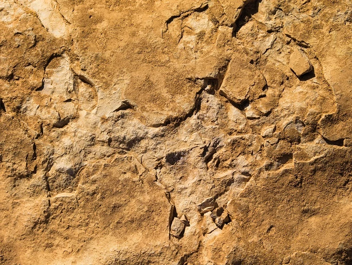 Fototapete Rasch Daniel Geier Fels Stein Braun 101072 1 Fototapete Rasch Daniel Geier Fels Stein Braun 101072