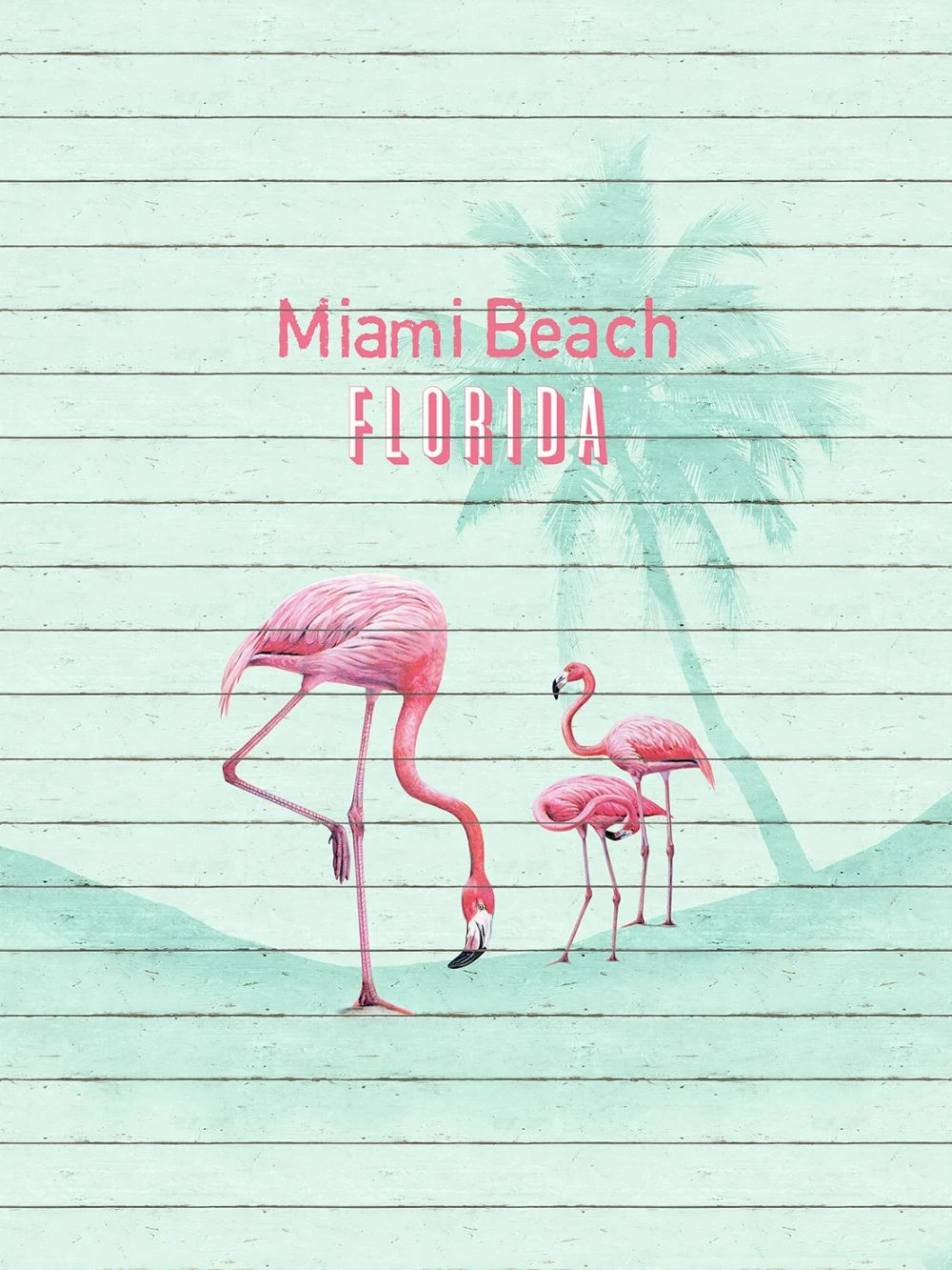 Fototapete Vlies Flamingo Miami Beach Florida 225x300cm 1 Fototapete Vlies Flamingo Miami Beach Florida 225x300cm