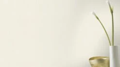 Barbara Home Vliestapete Einfarbig Creme 536805 -A.S. Creation Verkaufsgeschäft Tapete Vlies 536805 Einfarbig creme 63203595