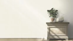 Barbara Home Vliestapete Einfarbig Creme 536805 -A.S. Creation Verkaufsgeschäft Tapete Vlies 536805 Einfarbig creme 63203595 1