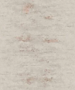 Tapete Vlies Beton Used Grau Kupfer Metallic ON4202