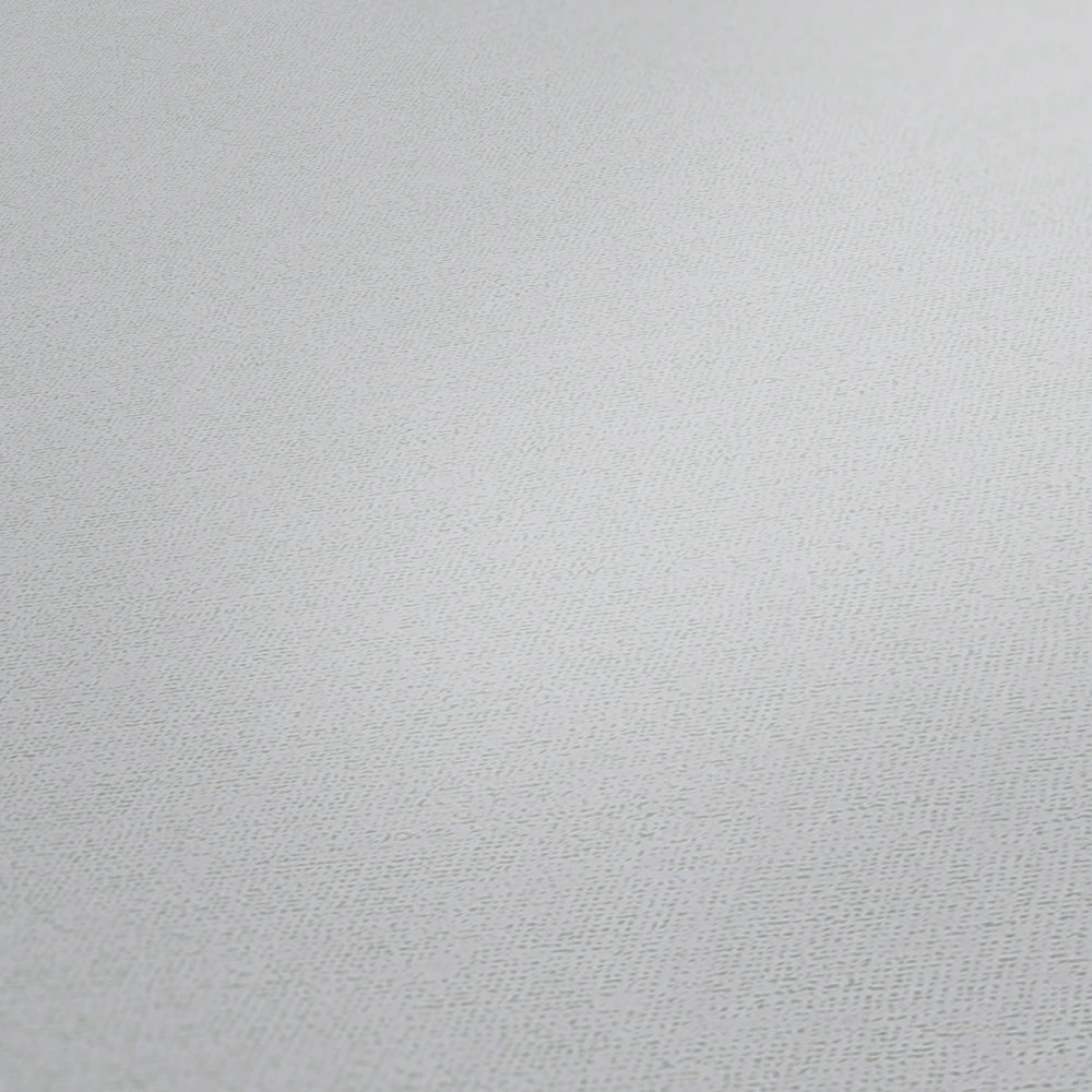 A.S. Creation Tapete Vlies Michalsky Einfarbig Struktur Grau 37986-4 2 A.S. Creation Tapete Vlies Michalsky Einfarbig Struktur Grau 37986-4 – Bild 2