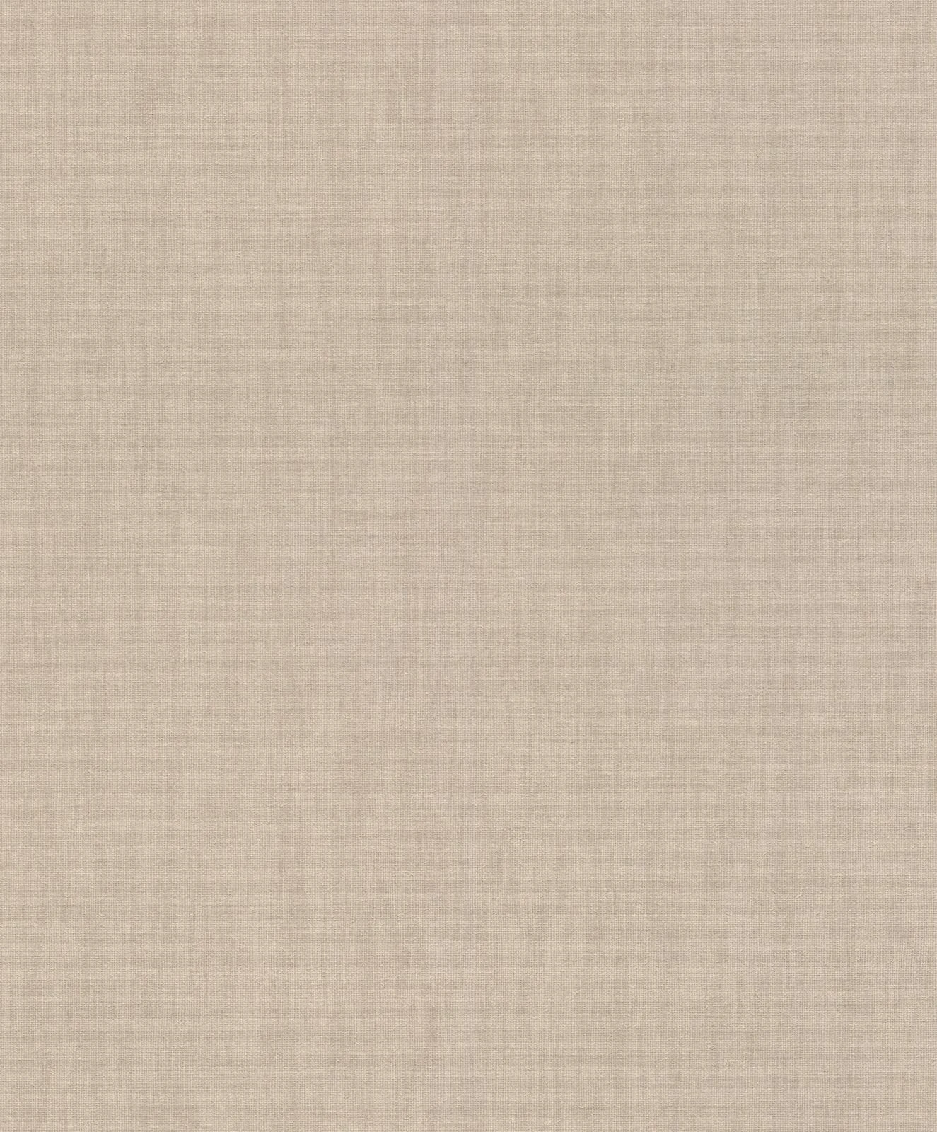 Tapete Vlies Rasch Uni Textil Hellbraun 484540 1 Tapete Vlies Rasch Uni Textil Hellbraun 484540