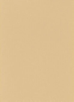 Vinyltapete Einfarbig Struktur Gold Glanz 6380-27