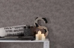 Vliestapete Beton Vintage Dunkelgrau Glanz 36924-1 5 Vliestapete Beton Vintage Dunkelgrau Glanz 36924-1 -A.S. Creation Verkaufsgeschäft Vliestapete Beton Vintage grau Glanz 36924 1 191342 2