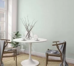 Vliestapete Ivy Einfarbig Grün 82311 Novamur -A.S. Creation Verkaufsgeschäft Vliestapete Ivy Uni Struktur Gruen 82311 Novamur 63213350 3