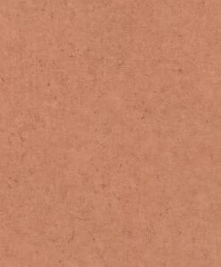 Vliestapete Putz Optik Beton Terra 520880 Rasch